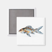 Blau und Orange Shubunkin Goldfish Fine Art Magnet (Vorderseite/Rückseite)
