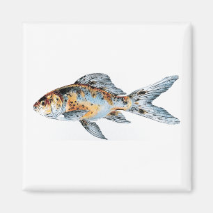 Blau und Orange Shubunkin Goldfish Fisch Feine Kun Magnet