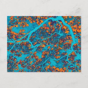 Blau- und Orangenbäume Postkarte