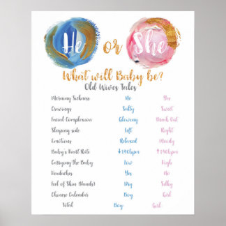 Blau und Rosa Er oder sie Alte Ehefrauen Poster