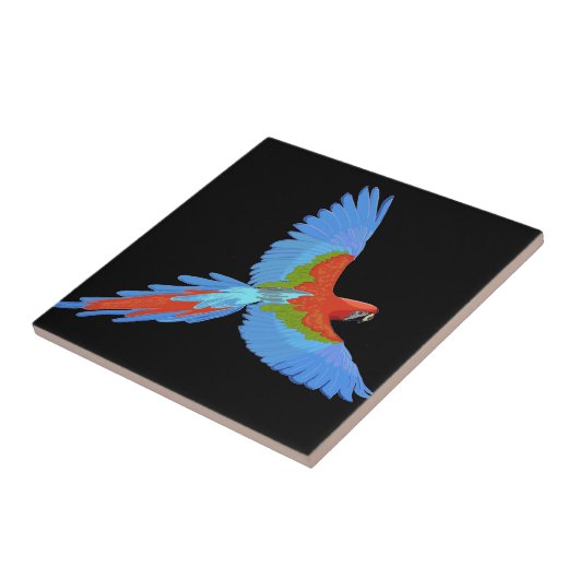 Blau und Rot Fliese (Seite)