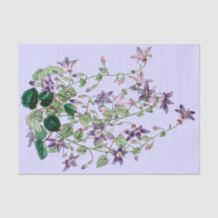 Blau-und violettesschleppendes Blumen-Seidenpapier Seidenpapier
