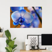 Blau und Weiß Orchid Poster (Heimbüro)