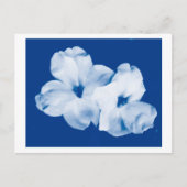 Blau und Weiß Postkarte (Vorderseite)