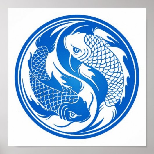 Blau und Weiß Yang Koi Fisch Poster (Vorne)