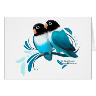 Blau verdeckte Lovebirds