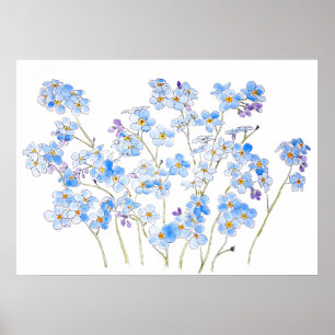 Blau vergessen mich nicht Tinte und Aquarell 2023 Poster