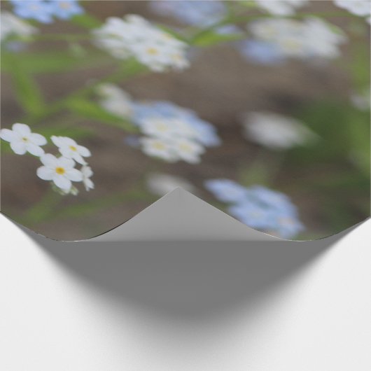 Blau-Weiß-Blüte Geschenkpapier (Ecke)