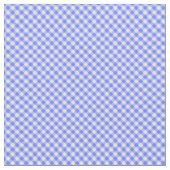 Blau Weiß Gingham Stoff (Nahaufnahme)