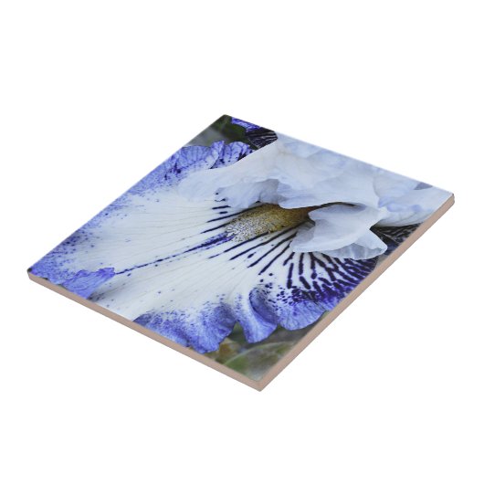 Blau-weiße Bartu-Iris Fliese (Seite)