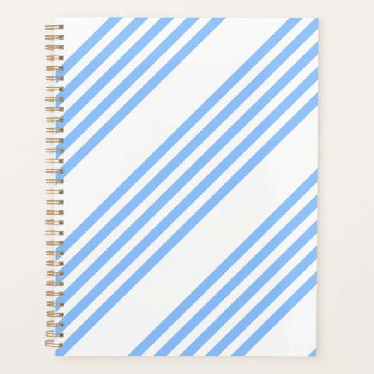 Blau-weiße Fünf-Streifen-Muster Planer (Vorderseite)