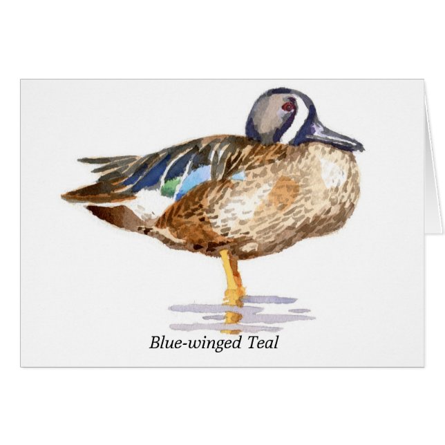 Blau-winged aquamarines (Vorderseite (Horizontal))