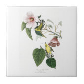 Blau-winged gelber Trällerer Audubon Vögel Amerika Fliese (Vorderseite)