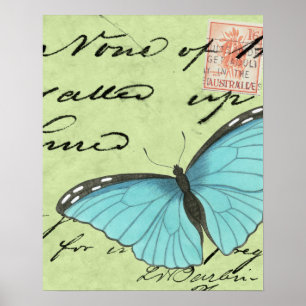 Blau-Winged Schmetterling auf aquamariner Poster