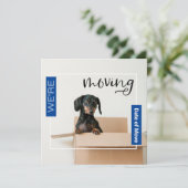 Blau Wir bewegen Dackel Hund in Box Card Dankeskarte (Stehend Vorderseite)