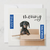 Blau Wir bewegen Dackel Hund in Box Card Dankeskarte (Vorderseite)