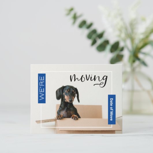 Blau Wir bewegen Dackel Hund in Box Postcard Postkarte (Stehend Vorderseite)