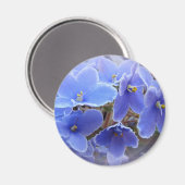 Blauafrikanische Violetten Magnet (Vorderseite/Rückseite)