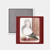 Blauafrikanischer Eukalyptus Magnet (Vorderseite/Rückseite)