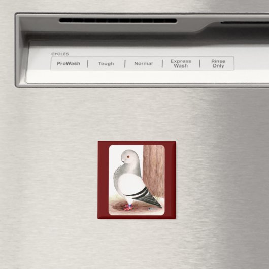 Blauafrikanischer Eukalyptus Magnet (In Situ (Geschirrspüler))