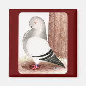 Blauafrikanischer Eukalyptus Magnet (Vorne)