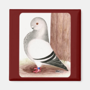 Blauafrikanischer Eukalyptus Magnet