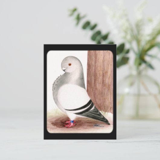 Blauafrikanischer Eukalyptus Postkarte (Stehend Vorderseite)