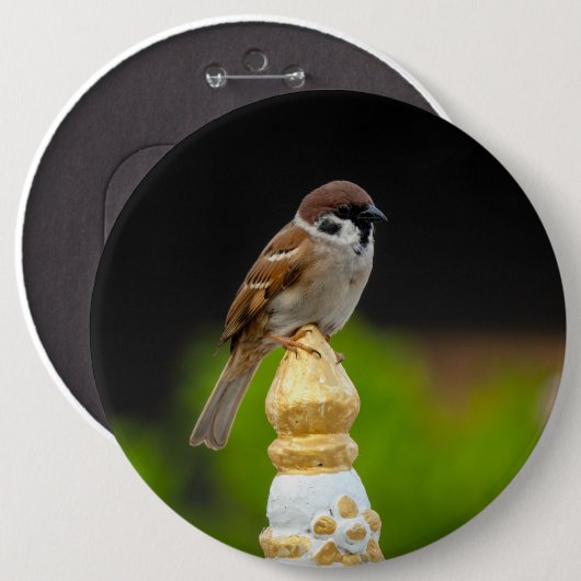 Blauammer Button (Vorne & Hinten)