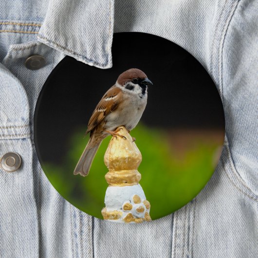Blauammer Button (Beispiel)