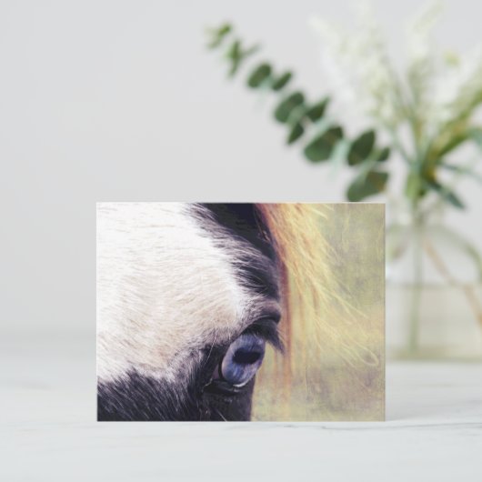 Blauauge Postkarte (Stehend Vorderseite)