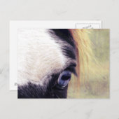 Blauauge Postkarte (Vorne/Hinten)