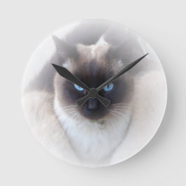 Blauaugen-Katze Runde Wanduhr