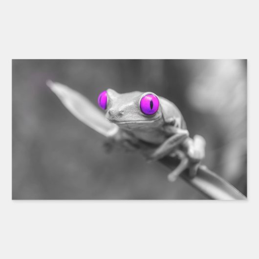 Blauäugiger Frosch Rechteckiger Aufkleber (Vorderseite)