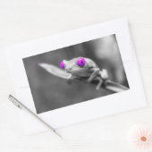 Blauäugiger Frosch Rechteckiger Aufkleber (Umschlag)
