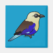 Blaubauchroller Magnet (Vorne)