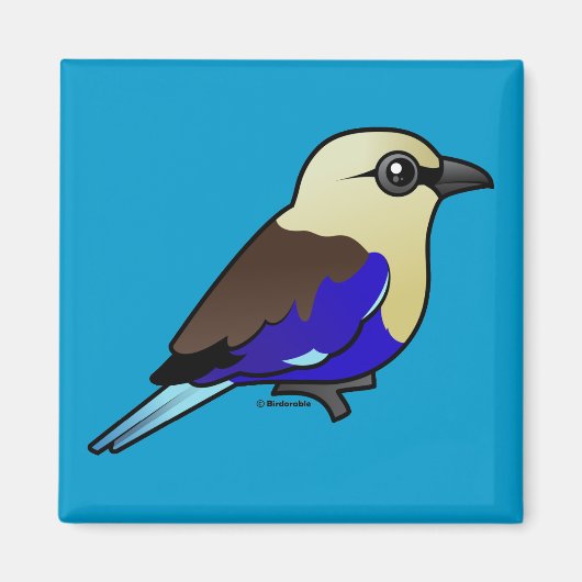 Blaubauchroller Magnet (Vorne)