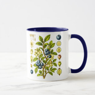 Blaubeer-Illustration im Vintage-Botanikstil Tasse
