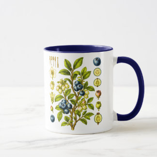 Blaubeer-Illustration im Vintage-Botanikstil Tasse