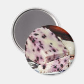 Blaubeer White Stilton Magnet (Vorderseite/Rückseite)