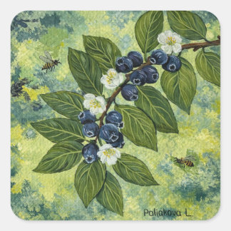 Blaubeer-Zweig Botanische Illustration Quadratischer Aufkleber
