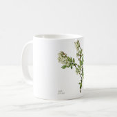 Blaubeerblüten-Kaffeetasse Kaffeetasse (Vorderseite Links)