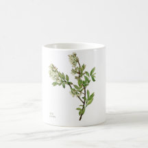 Blaubeerblüten-Kaffeetasse