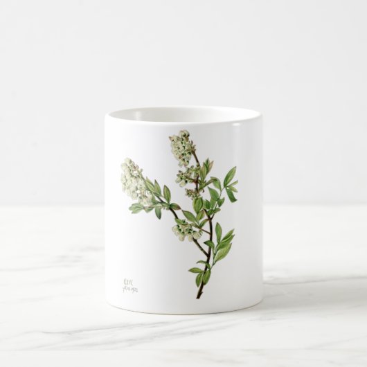 Blaubeerblüten-Kaffeetasse Kaffeetasse (Mittel)