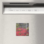 Blaubeerbüsche und -kiefern magnet (In Situ (Geschirrspüler))