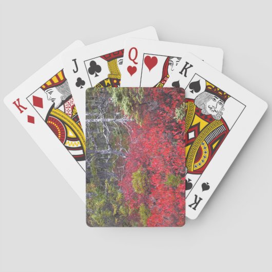 Blaubeerbüsche und -kiefern spielkarten (Rückseite)