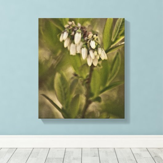 Blaubeere 585 leinwanddruck (Insitu (Holzboden))