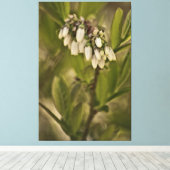 Blaubeere 585 leinwanddruck (Insitu (Holzboden))