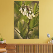 Blaubeere 585 leinwanddruck (Insitu (Wohnzimmer))