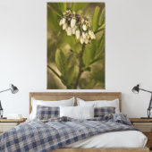 Blaubeere 585 leinwanddruck (Insitu (Schlafzimmer))