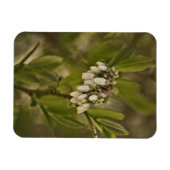 Blaubeere 585 magnet (Horizontal)